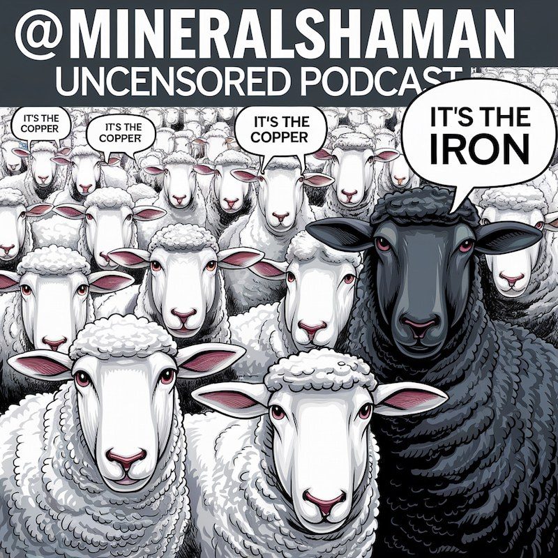 A drawing of a crowd of white sheep, three of them saying “It’s the copper” in speech bubbles, and one black sheep among them saying “It’s the iron”, under the words “@MineralShaman Uncensored Podcast”.