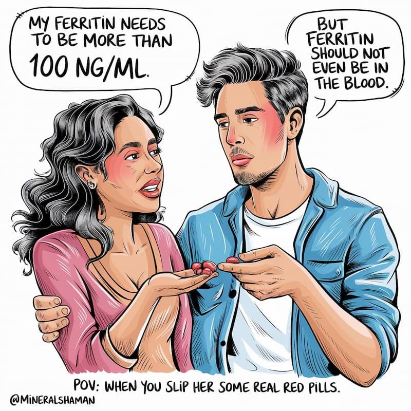 A cartoon of a man in a denim shirt, his arm around a woman in a pink cardigan, putting red pills into her open hand as she says “My ferritin needs to be more than 100 ng/mL” and he answers “But ferritin should not even be in the blood”, with the caption “POV: when you slip her some real red pills” and “@MineralShaman” beneath.