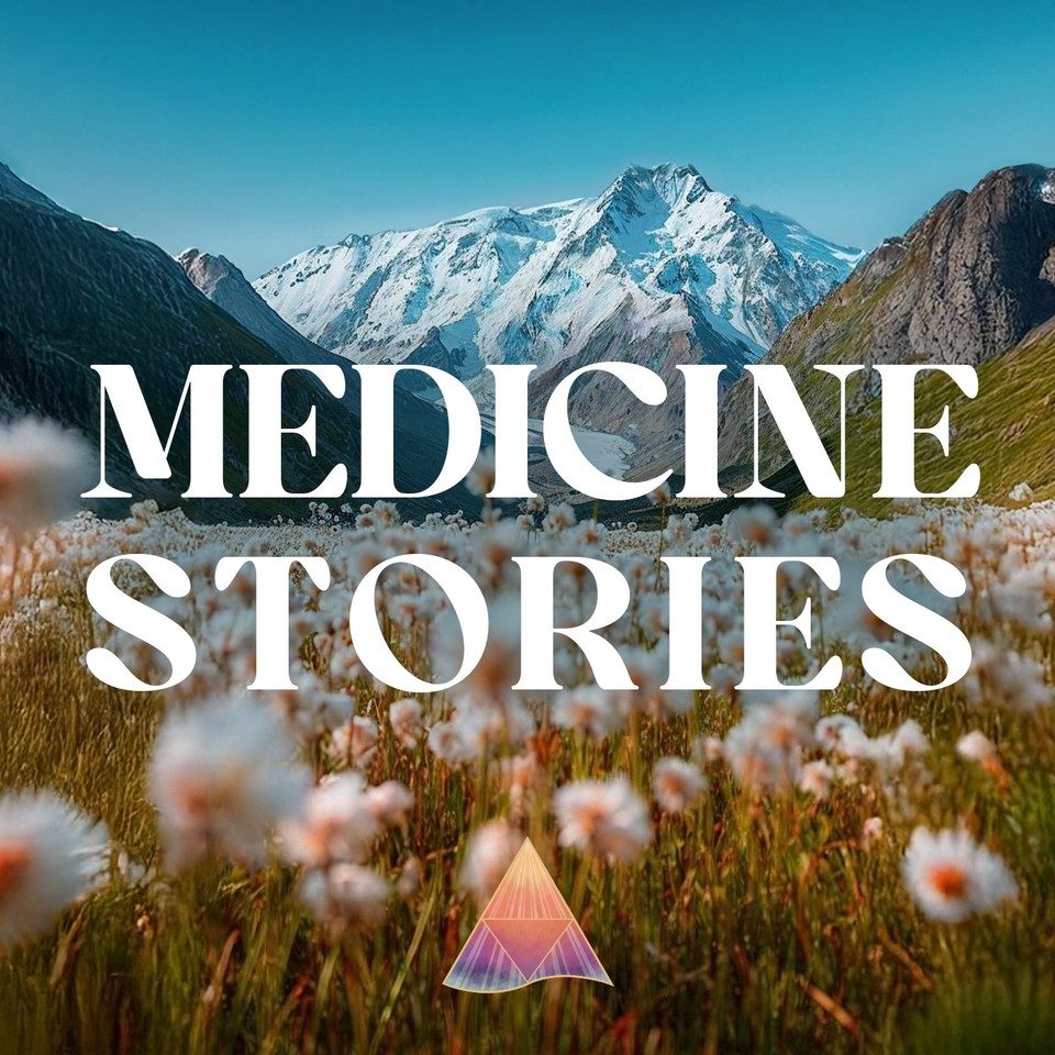 Medicine Stories cover art