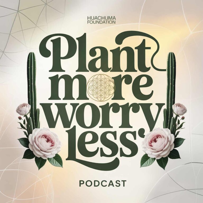 Cover art for the Plant More Worry Less podcast from the Huachuma Foundation, the title set in dark green serif type between two tall cacti, with pale roses at the base and a gold flower of life inside the word more.